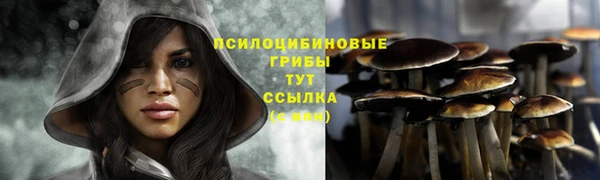 spice Вязники