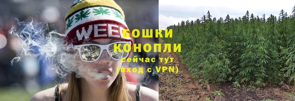 spice Вязники
