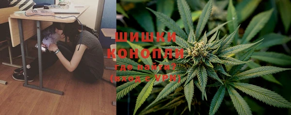 spice Вязники